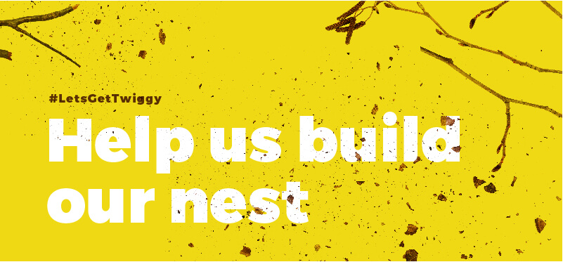 Header image with text reading help us build our nest.