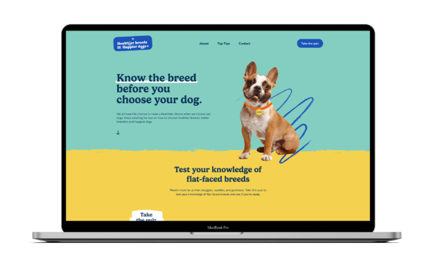 An image showing the website mock up