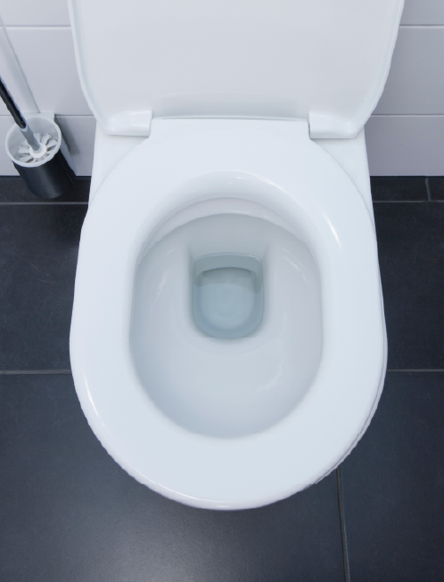 Toilet basin from above